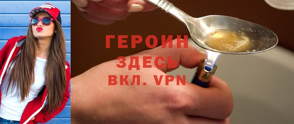 гидра Вяземский