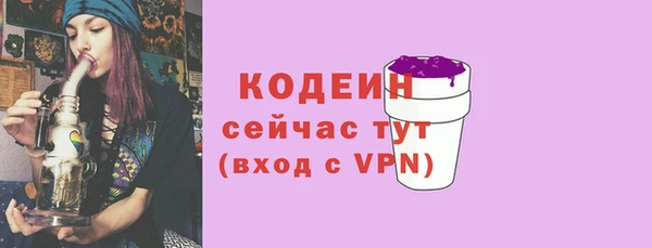 СК Волосово