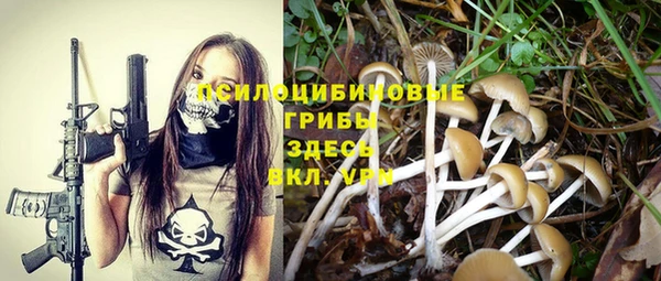 2c-b Вязники