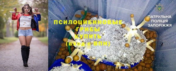 СК Волосово