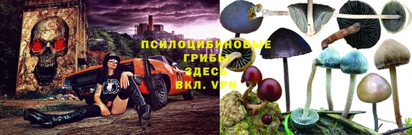 мдпв Володарск