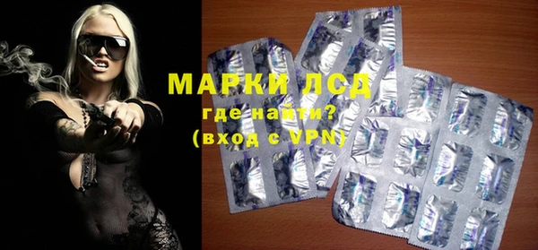 гидра Вяземский